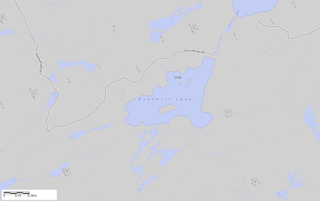 Crown Land Map of Bushwolf Lake in Municipality of Dysart et al and the District of Haliburton